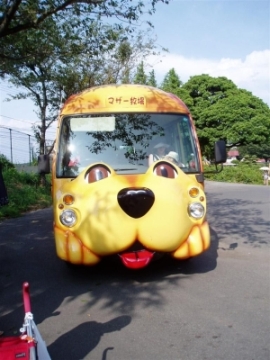 bus