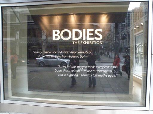 bodies2