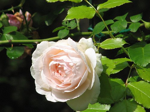 20080610_00755.jpg