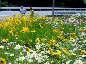 奥武蔵チャレンジ＆ウォーク13