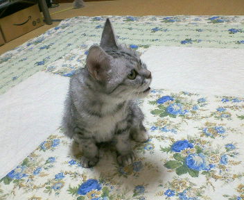 200603241817000.jpg