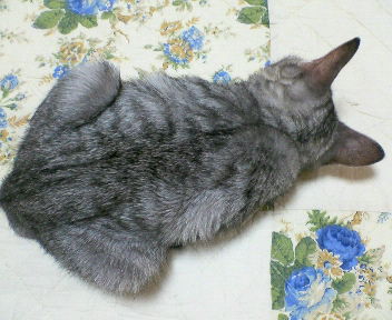 200603241835000.jpg