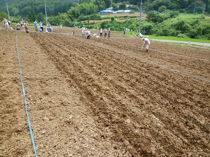 マイほ場