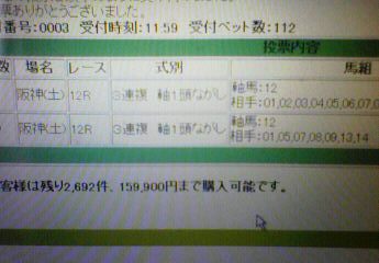 阪神１２Ｒ２００９０３０７