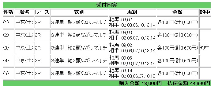 ﾄｼ競馬結果３