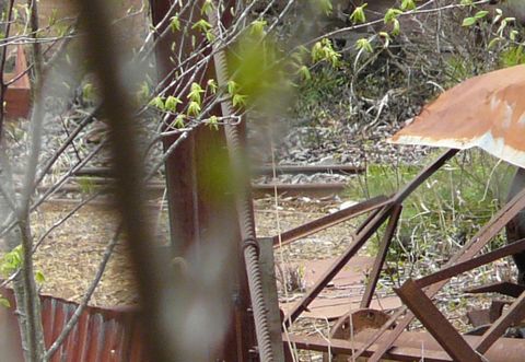 P1210753 - コピー.JPG