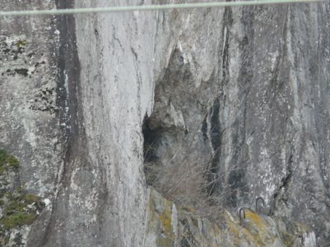 P1200194 - コピー.JPG