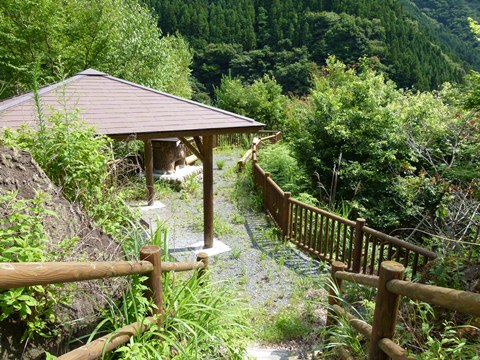P1090048.JPG