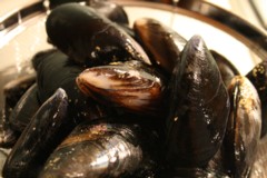 mussel1