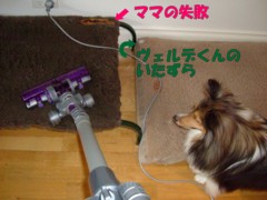 dyson2