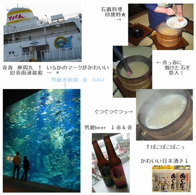 0406a.jpg