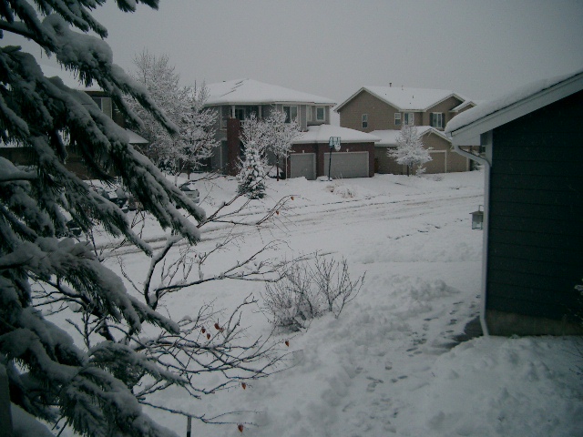 snow 4172009 004.jpg