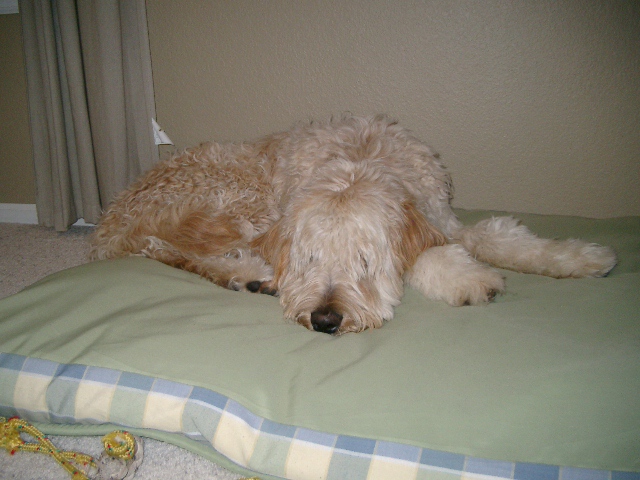 Cancun Fall 2008 015.jpg