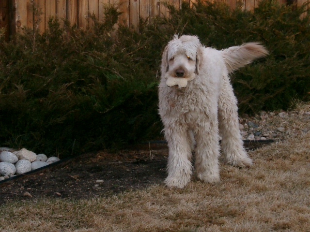 kobe Mar 2010 002.jpg