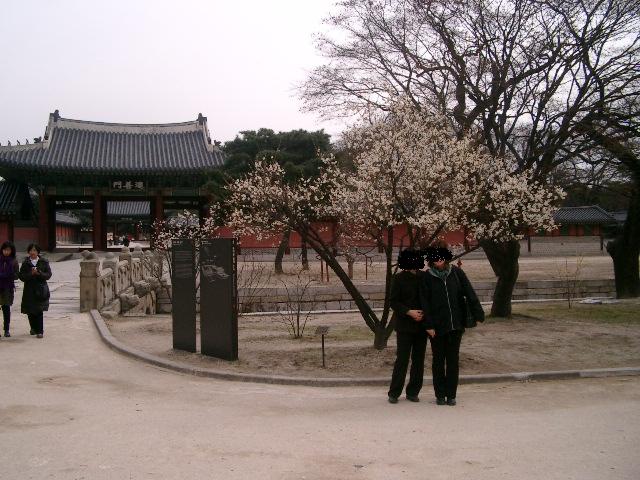 Korea with Mom 2009 034.jpg