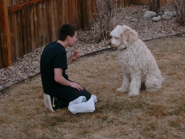 kobe Mar 2010 001.jpg