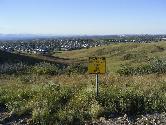 view in CO 003.jpg