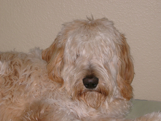 Cancun Fall 2008 013.jpg