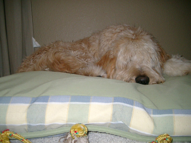 Cancun Fall 2008 016.jpg