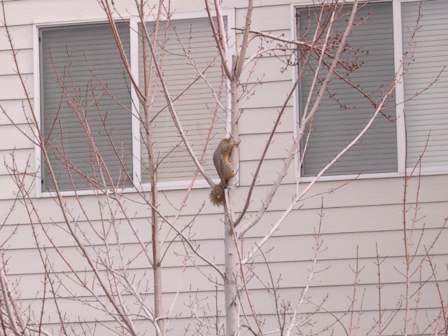 Jake's 6th birthday 001.jpg