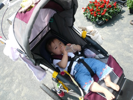 P1000436.JPG