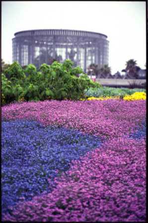 花の美術館ファサード