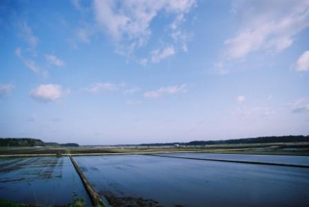 肥沃な大地