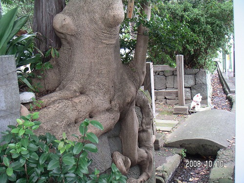 伊豆シャボテン公園 038.jpg