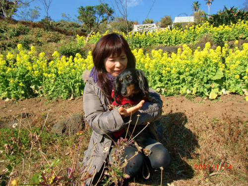 伊豆四季の花公園 025.jpg