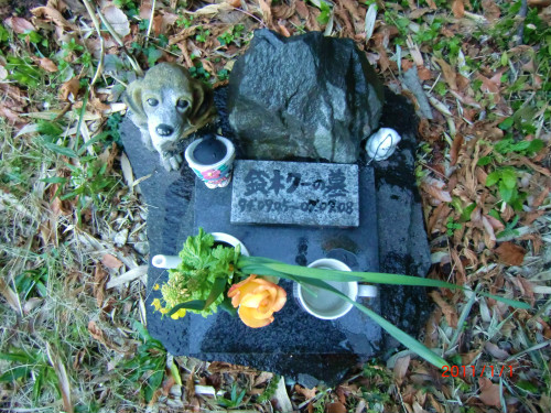 2０１１年初日の出 038.jpg