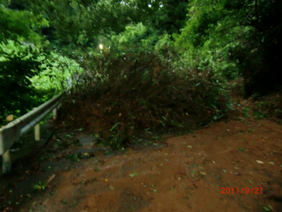 台風１５号 010.jpg
