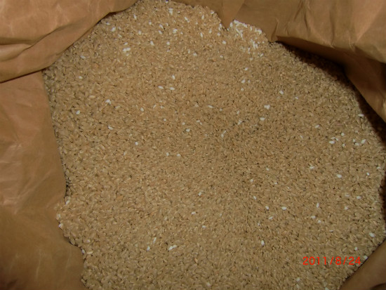 コイン精米機 021.jpg