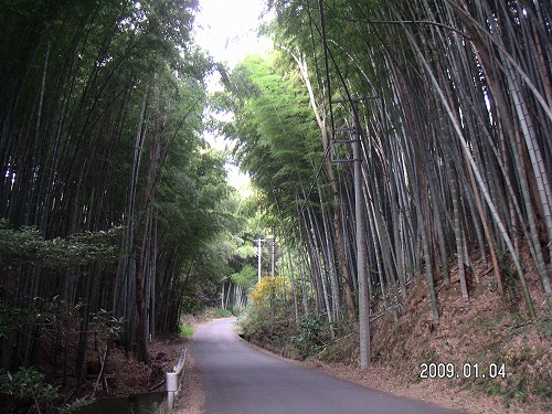 ２００９年、初日の出 008.jpg