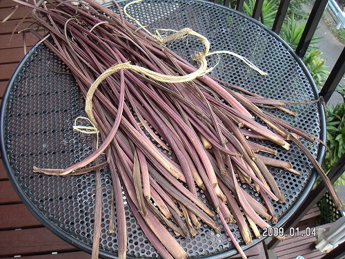 ２００９年、初日の出 030.jpg