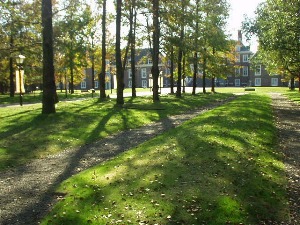 061103kodati.JPG