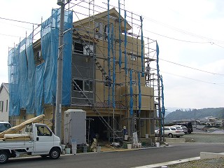P1040673.jpg