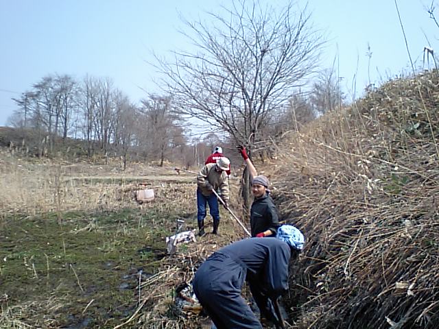 田んぼ作業１