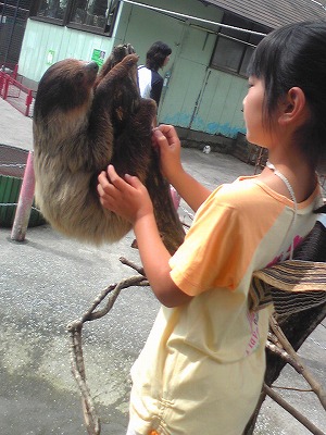 s-Image012~02.jpg