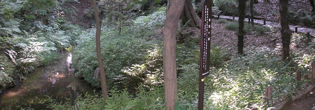 木曽川
