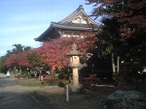 東別院紅葉