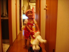 DSC08315.JPG