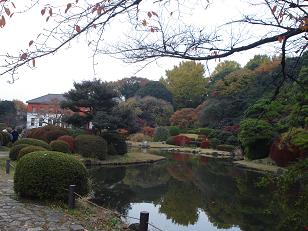 小石川植物園医学校.jpg