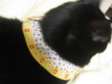 IMG_9298 - コピー.JPG