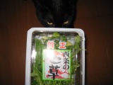 画像 755.jpg