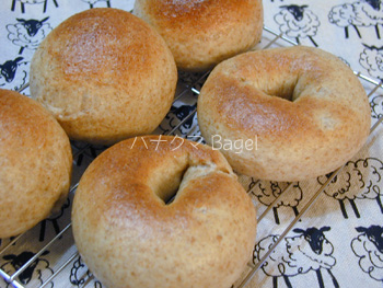 bagel.jpg