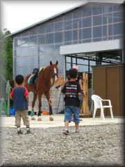 早速乗馬体験！