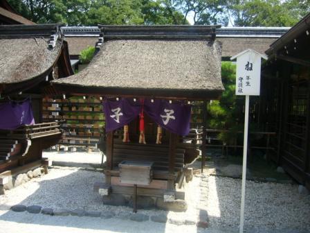 下鴨神社の子