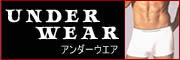 下着 ボクサーパンツ ブリーフ 勝負
