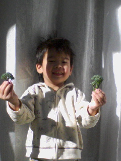 kukiborokkori-2.jpg