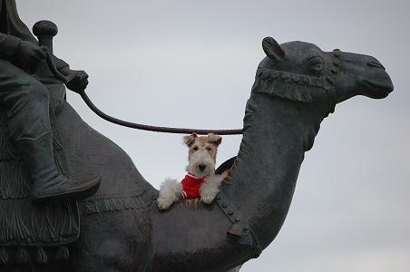 DSC_0176A.JPG